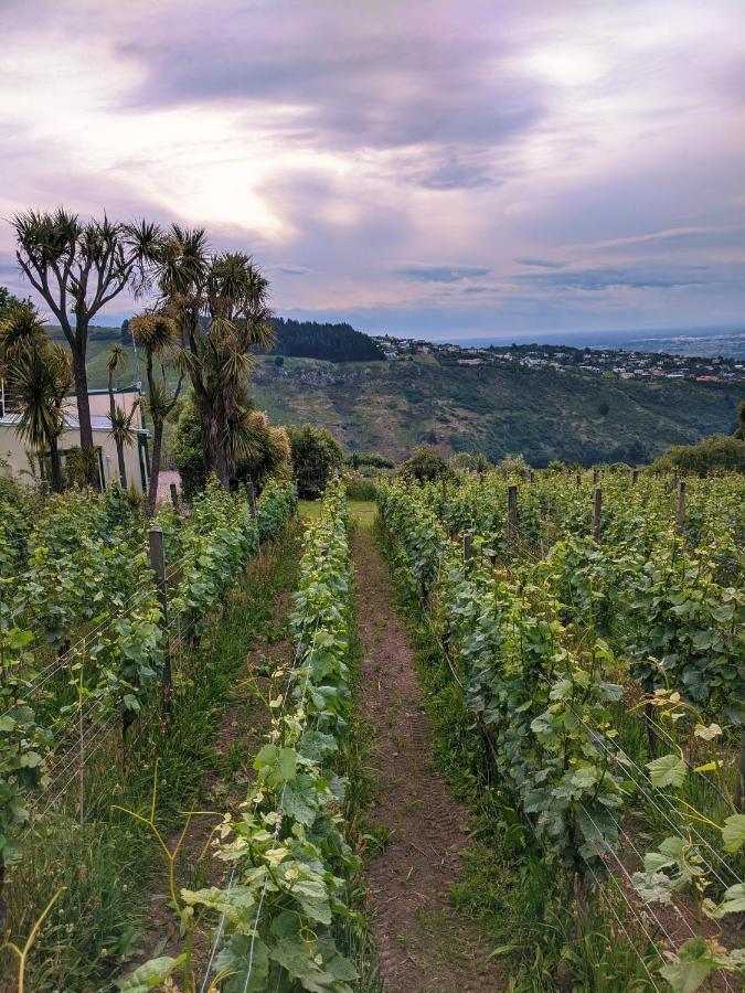 Tussock Hill Vineyard Retreats Hotel Christchurch Bagian luar foto